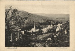 SCHLANGENBAD, Panorama Vom Wilhelmfelsen (1910s) AK - Schlangenbad