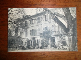 CPA  13 - EYGUIERES - Façade Du Château De Roquemartine - Eyguieres