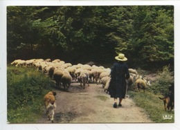 Delcampe - Retour Du Troupeau (theojac) Berger Femme Chapeau Chien Mouton - Bauern