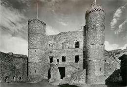 CPSM Harlech Castle                                                               L2697 - Merionethshire