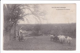 LA VIE AUX CHAMPS - La Gardeuse De MOutons - Viehzucht