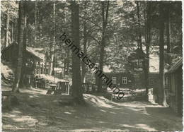 Köhlerhütte Fürstenbrunn Bei Schwarzenberg - Foto-AK Grossformat - Gel. 1964 - Schwarzenberg (Erzgeb.)