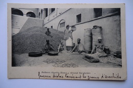 CPA AFRIQUE GAMBIE BATHURST. Femmes Tamisant Les Graines D Arachide. Ground Nut Sorters.08/12/1911. - Gambia