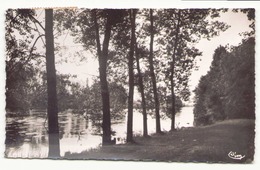 LUSSAC LES CHATEAUX LES BORDS DE LA VIENNE 86 - Lussac Les Chateaux