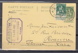 2x Nr 110 Op Postkaart Gestempeld Van Thienen/Tirlemont 1 Naar Roanne (France) - 22 Juil 1913 - 1912 Pellens