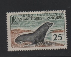 LOT 527 - T.A.A.F  N° 16 OBLITERE -  PHOQUE - Cote 57 € - Oblitérés