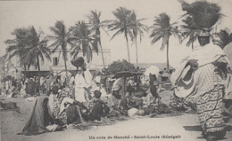 Sénégal - Saint-Louis - Coin Du Marché - Senegal