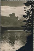 Schluchsee V. 1954  Abendstimmung  (2776) - Schluchsee