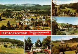 ALLEMAGNE : HINTERZARTEN - Hinterzarten