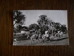Niger -Carte Postale Ancienne De Niamey: Sur La Route - Niger