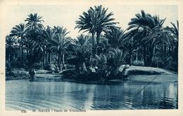 Afrique Du Nord Tunisie  Gabes Oasis De Teboulbou  Palmier Eau - Tunesien