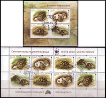 BULGARIA / BULGARIE - 2016 - WWF - Fauna - Tortues / Turtes -  Bl + PF Obl. - Used Stamps
