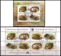 BULGARIA / BULGARIE - 2016 - WWF - Fauna - Tortues / Turtes -  Bl + PF Obl. - Oblitérés