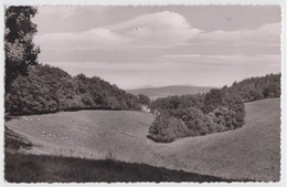 Luftkurort Arolsen - Am Wildkamp - Bad Arolsen