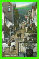 CLOVELLY, UK - HIGH STREET, ANIMATED - TRAVEL IN 1913 - PUB. BY G. S. REILLY - - Clovelly