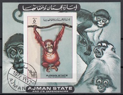 Sharjah 1972 Bf. 530B Monkey Orang-Utan Baby Sheet Imperf. CTO - Gorilas