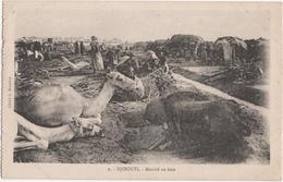 Djibouti - Marché Au Bois - & Camel, Market - Djibouti