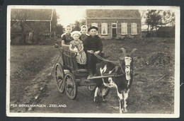 +++ CPA - Photo Carte - Foto Kaart - Pays Bas - ZEELAND - BRESKENS - Per Bokkenwagen - Attelage   // - Breskens