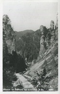 005908  Klamm Im Klostertal Bei Gutenstein  1929 - Gutenstein