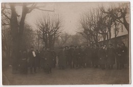 Carte Photo Militaria écrite De 63 CLEMENSAT Chasseurs Alpins Texte Nourriture Fourrage Veaux Vache Taureau - Autres & Non Classés