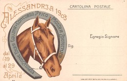 0648 "ALESSANDRIA 1903 - ESPOSIZIONE FIERA EQUINA - CONCORSO IPPICO - MOSTRA ZOOTECNICA" CAVALLO. CART  NON SPED - Betogingen