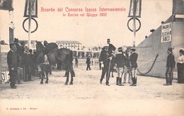 0649 "TORINO - RICORDO DEL CONCORSO IPPICO INTERNAZIONALE - GIUGNO 1902" CAVALLI, FANTINI, MILITARI. CART  NON SPED - Manifestaciones