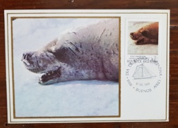 ARGENTINE Theme Polaire. Phoque Polaire. (foca Cangrejera, LOBODON CARCINOPHAGUS)Carte FDC 1983 - Fauna Antartica