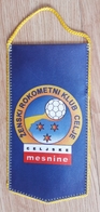 Pennant Women's Handball Club ZRK Celje Celjske Mesnine Slovenia Flag 10x 20cm - Palla A Mano