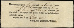 SCHLESWIG-HOLSTEIN RATZEBURG, Ortsdruck Auf Einlieferungsschein: Unter Heutigem Dato.... (1802), Pracht - Prefilatelia