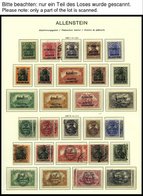 SAMMLUNGEN, LOTS *,o,** , 1920/1, Sammlung Abstimmungsgebiete Mit Mittleren Ausgaben Auf Schaubek Falzlosseiten, Fast Nu - Otros & Sin Clasificación