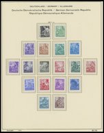 SAMMLUNGEN **, Postfrische Sammlung DDR Von 1953-70 Mit Diversen Mittleren Ausgaben, Fast Nur Prachterhaltung - Sonstige & Ohne Zuordnung