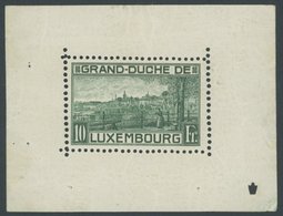 LUXEMBURG Bl. 1II *, 1923, Block Prinzessin Elisabeth, Falzrest Im Oberrand, Marke Postfrisch, Pracht - Dienstmarken