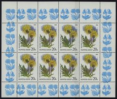 SOWJETUNION 5572,5577KB **, 1986, Olympische Spiele Der Neuzeit Und Geschütze Pflanzen Der Russischen Steppe, 2 Kleinbog - Otros & Sin Clasificación