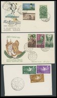 ÄGYPTEN 1950-61, 5 Verschiedene FDC`s, Meist Pracht - Briefe U. Dokumente