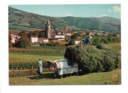 64 - AÏNHOA . VILLAGE TYPE DU PAYS BASQUE . FENAISON - Réf. N°19828 - - Ainhoa