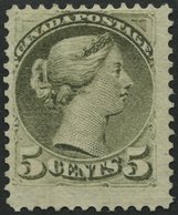 KANADA 29aA (*), 1876, 5 C. Bronzegrün, Gezähnt 12, Ohne Gummi, Pracht, Mi. (400.-) - Nuevos