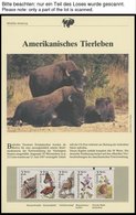 SONSTIGE MOTIVE Brief,** , 1987,Wildlife America - Amerikanisches Tierleben Im Spezial Ringbinder, Dabei 50 Verschiedene - Ohne Zuordnung