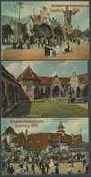 DEUTSCHLAND ETC. HAMBURG, 16. Deutsches Bundesschiessen Hamburg 1909, 3 Offizielle Farbige Ansichtskarten, 2x Mit Sonder - Altri & Non Classificati