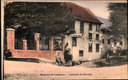 Woluwé St Lambert : Laiterie Du Moulin - Woluwe-St-Lambert - St-Lambrechts-Woluwe