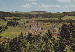 BLICK VOM SCHEIBENFELSEN - Hinterzarten