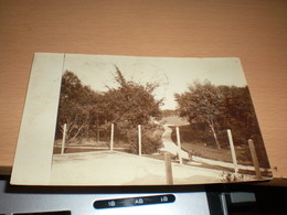 Korneuburg 1905 Photo Postcards - Korneuburg