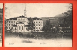 TRB-32 Sarnen Gymnasium, Kuhe  Pionier. Gelaufen In 1908 - Sarnen