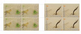 ARGENTINA 2006, INTERNATIONAL YEAR OF DESERTS AND DESERTIFICATION, 2 VALUES IN BLOCK OF FOUR SCOTT 2390-91 - Unused Stamps