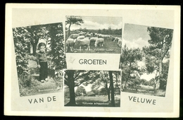 GROETEN Van De VELUWE * GELOPEN VAN PUTTEN NAAR BARENDRECHT   (3899b) - Putten