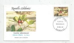 Timbre , FDC , Nouvelle Calédonie Et Dépendances , Nouméa 1988 , Plantes Médicinales - FDC