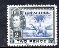 R1487 - GAMBIA 1938, Giorgio VI 2 Pence Usato - Gambia (...-1964)