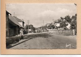 CPSM Dentelée - OFFEMONT (90) - Aspect De La Grande-Rue Dans Les Années 50 - Offemont