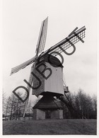 Geel Molen/Moulin Originele Foto C18 - Geel
