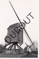 Meerhout Molen/Moulin Originele Foto C19 - Meerhout