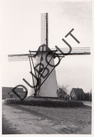 LILLE Windmolen 'In Stormen Sterk' Gierle Molen/Moulin Originele Foto C20 - Lille